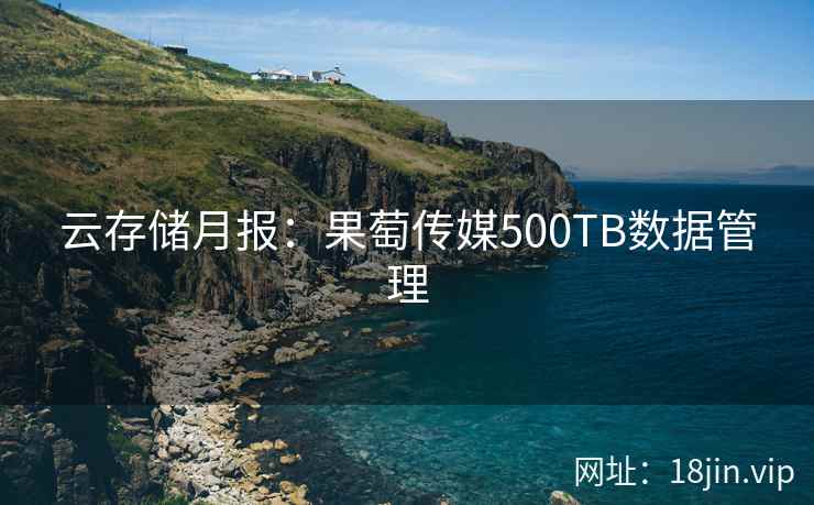 云存储月报：果萄传媒500TB数据管理