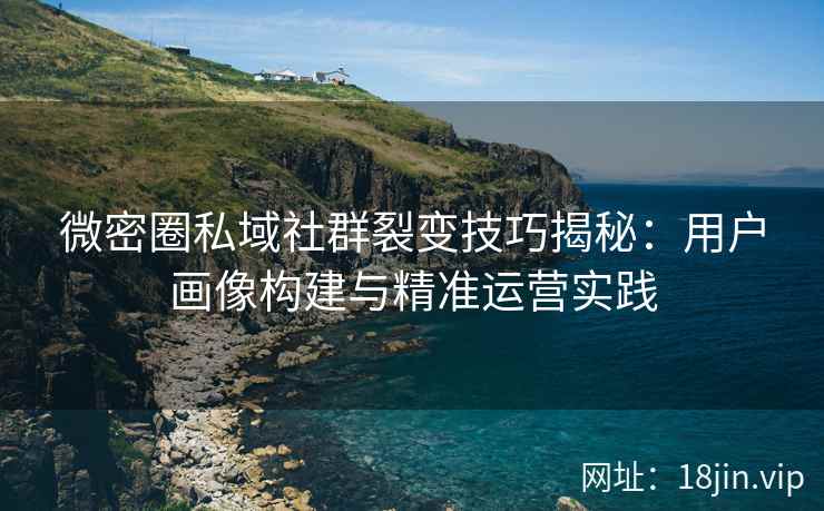 微密圈私域社群裂变技巧揭秘：用户画像构建与精准运营实践