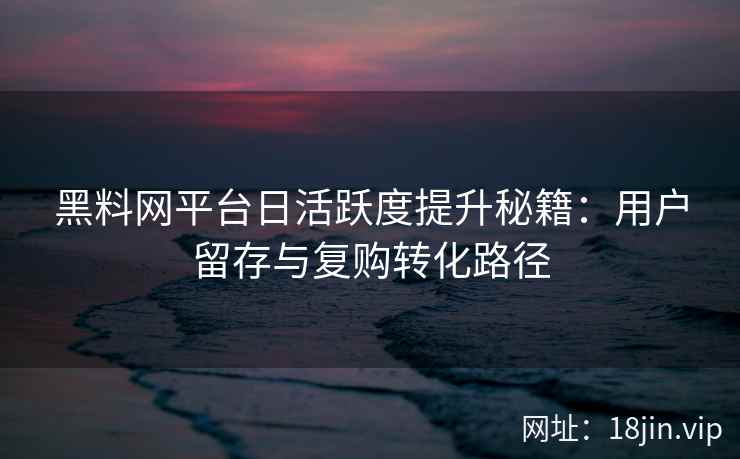 黑料网平台日活跃度提升秘籍：用户留存与复购转化路径