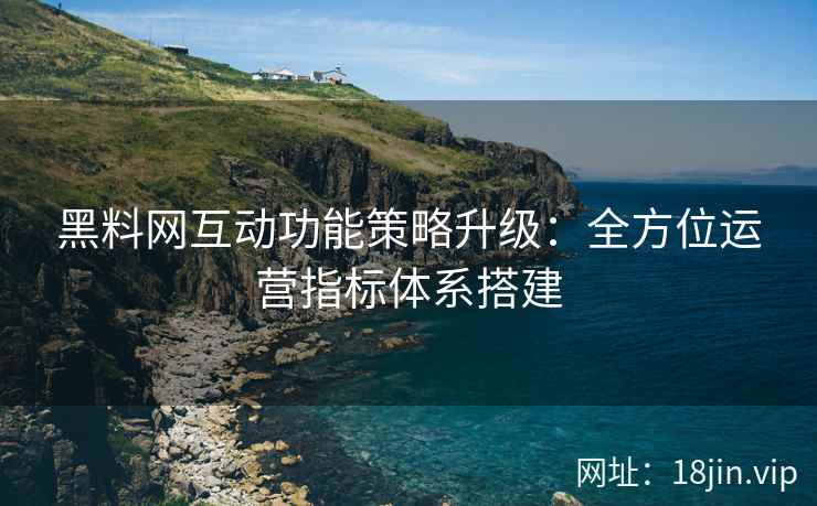 黑料网互动功能策略升级：全方位运营指标体系搭建