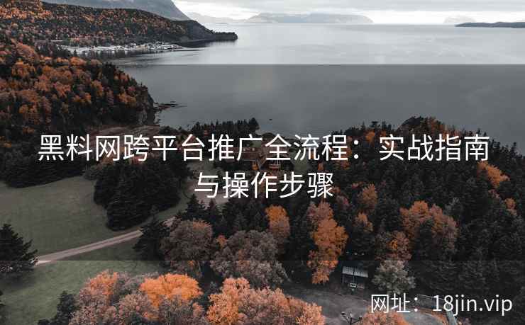 黑料网跨平台推广全流程：实战指南与操作步骤
