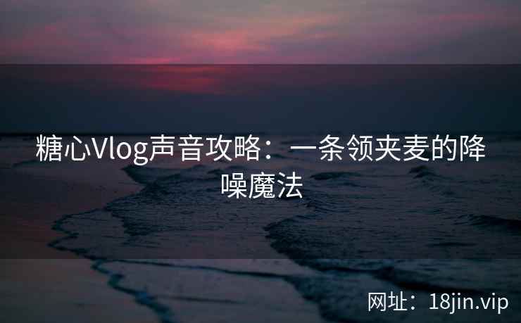 糖心Vlog声音攻略：一条领夹麦的降噪魔法