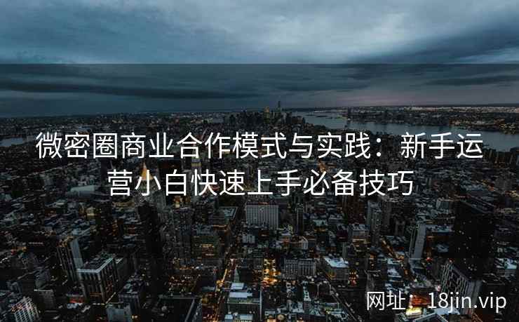 微密圈商业合作模式与实践：新手运营小白快速上手必备技巧