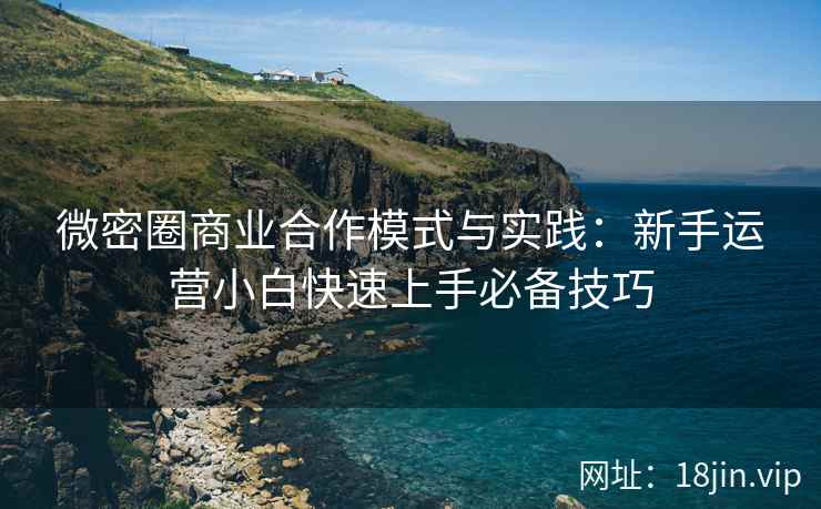 微密圈商业合作模式与实践：新手运营小白快速上手必备技巧