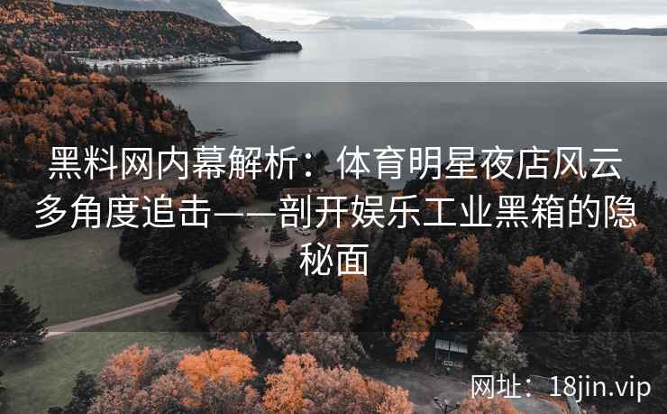 黑料网内幕解析：体育明星夜店风云多角度追击——剖开娱乐工业黑箱的隐秘面