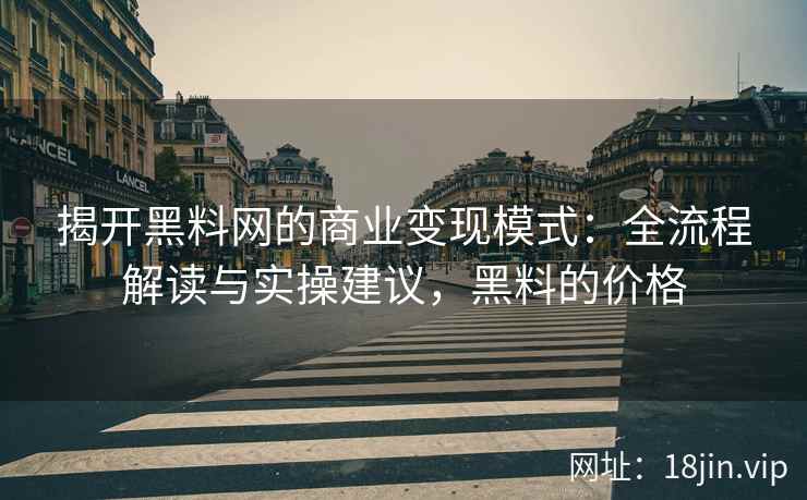 揭开黑料网的商业变现模式：全流程解读与实操建议，黑料的价格