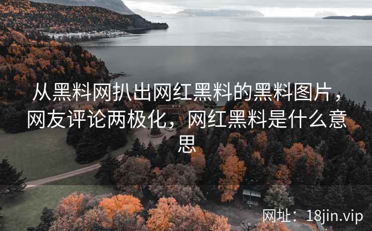 从黑料网扒出网红黑料的黑料图片，网友评论两极化，网红黑料是什么意思