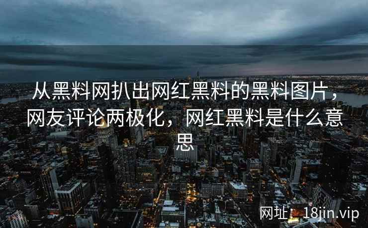 从黑料网扒出网红黑料的黑料图片，网友评论两极化，网红黑料是什么意思