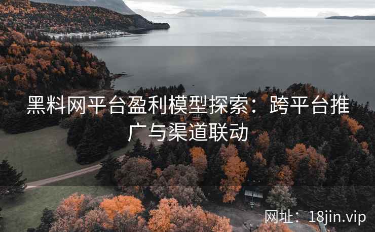 黑料网平台盈利模型探索：跨平台推广与渠道联动