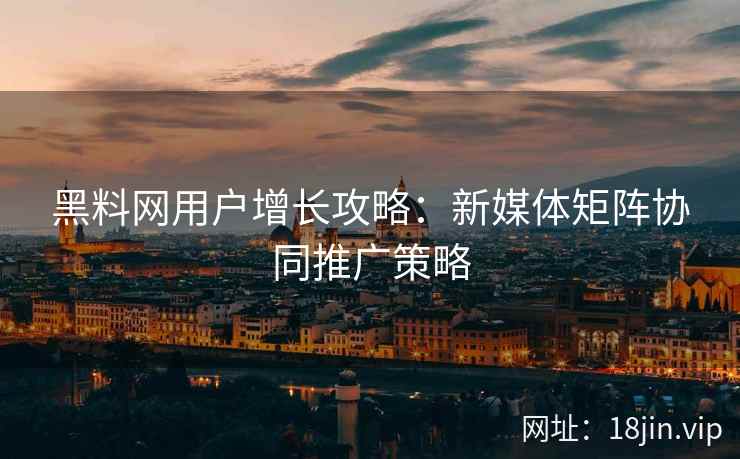 黑料网用户增长攻略：新媒体矩阵协同推广策略
