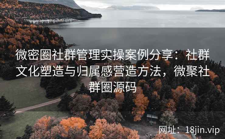 微密圈社群管理实操案例分享：社群文化塑造与归属感营造方法，微聚社群圈源码