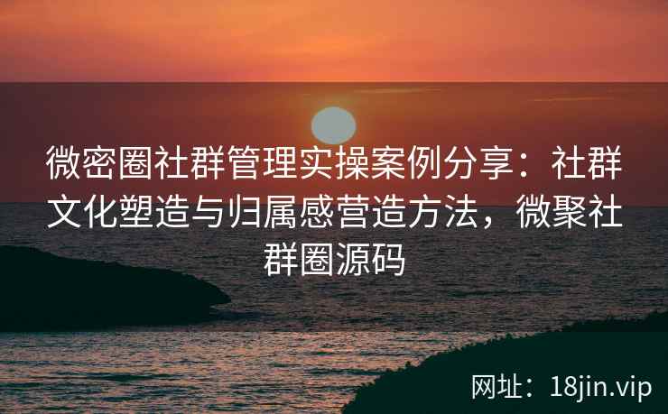 微密圈社群管理实操案例分享：社群文化塑造与归属感营造方法，微聚社群圈源码